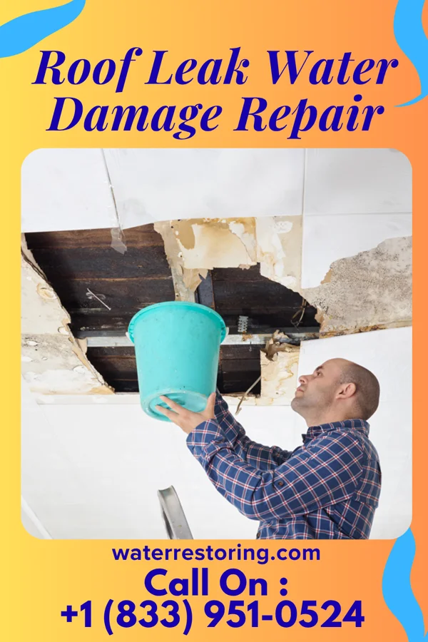 Roof Leak Water Damage Repair in Oelwein, IA
