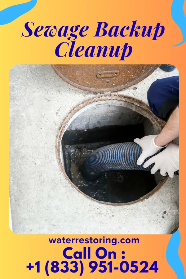Sewage Backup Cleanup in Oelwein, IA